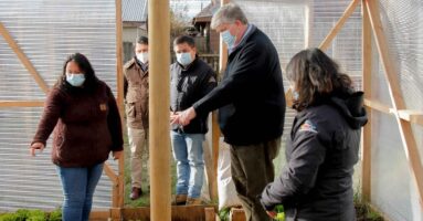 Departamento Rural lanza campaña “Construye tu huerto urbano en cuarentena”