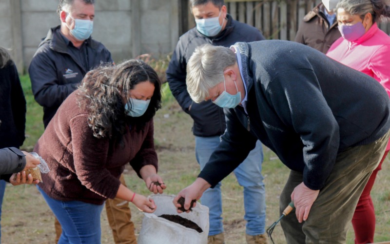 Departamento Rural lanza campaña “Construye tu huerto urbano en cuarentena” - Red Informativa