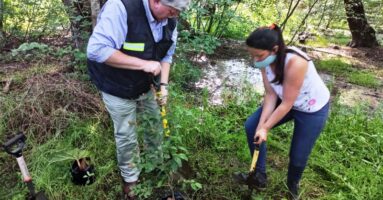 Vecinos de la comuna trabajan en arborización  en sector El Lanchón