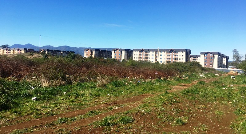 Alcalde Germán Vergara llama a la prevención de incendios forestales tras alertas en la región - Red Informativa