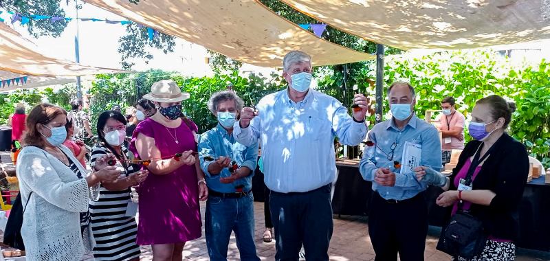 Paseo Cultural Los Boldos inaugura temporada 2022 en Sector Costanera Villarrica - Red Informativa