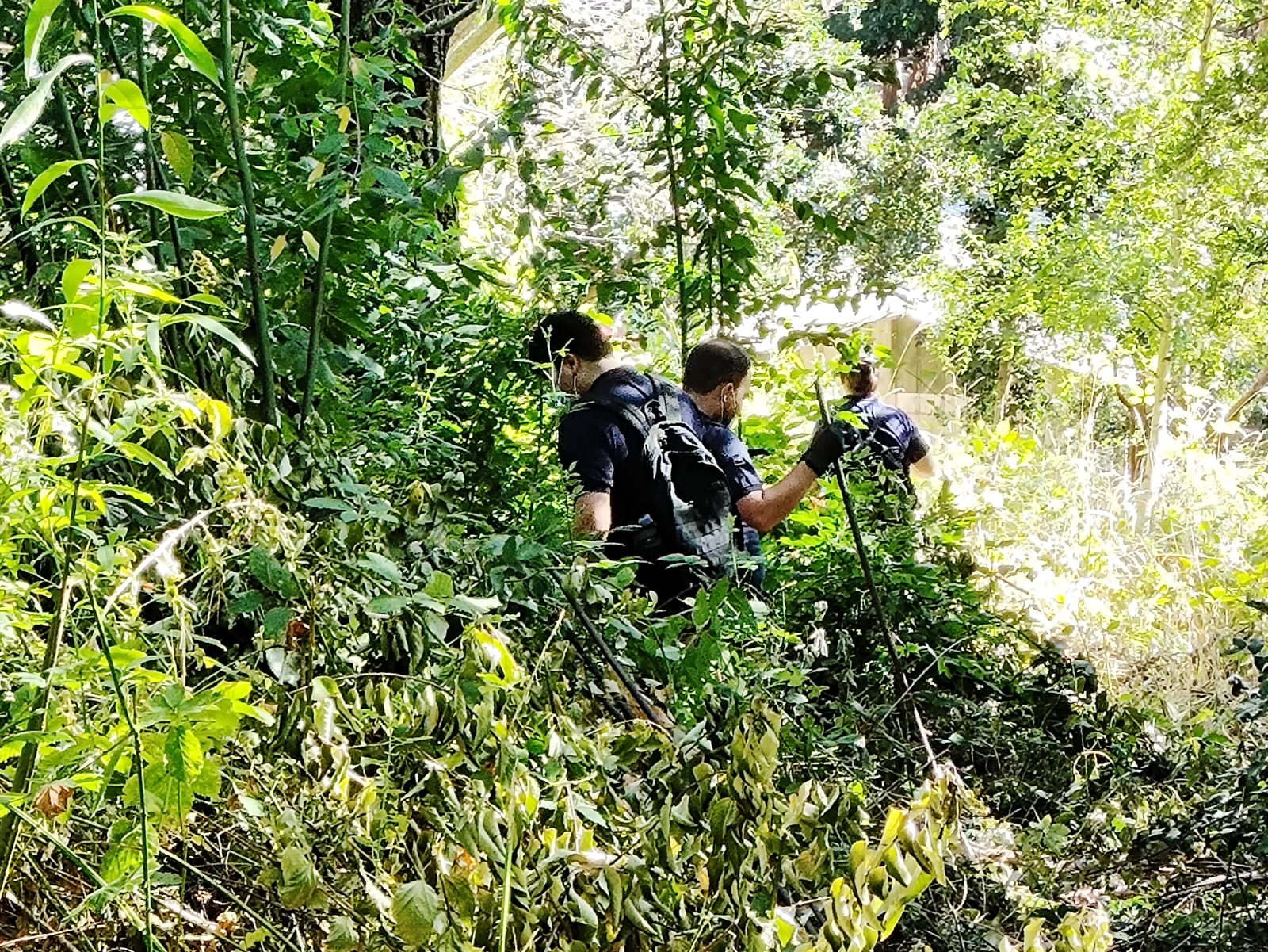 PDI realiza exhaustivos rastreos para ubicar a joven desaparecido en Licán Ray - Red Informativa