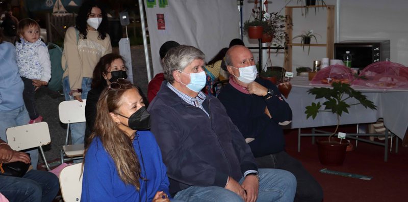 Emprendedores de la comuna culminan actividades de verano en Gran Pasarela del Paseo Creadores Embarcadero Villarrica - Red Informativa