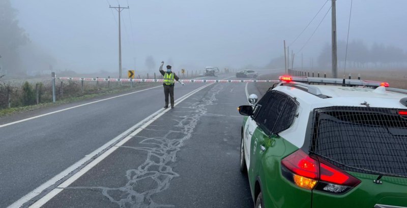 Tragedia en ruta Freire-Villarrica: Dos fallecidos en colisión a alta energía - Red Informativa