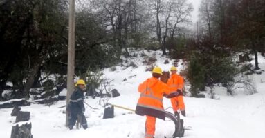 CGE despliega brigadas pesadas para recuperación del suministro en la zona lacustre