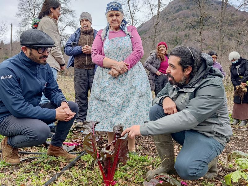 Huerteras reciben semillas ancestrales para contribuir a la soberanía y seguridad alimentaria - Red Informativa