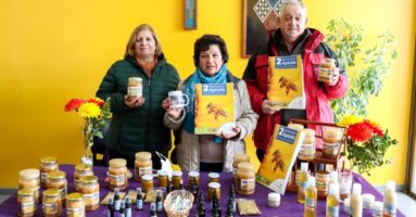 Apicultores se reúnen en Villarrica para alejar a las abejas de enfermedades