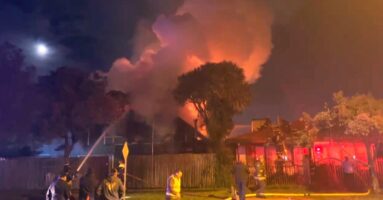 Mascota muere calcinada en incendio: Vivienda fue consumida por el fuego en Villarrica
