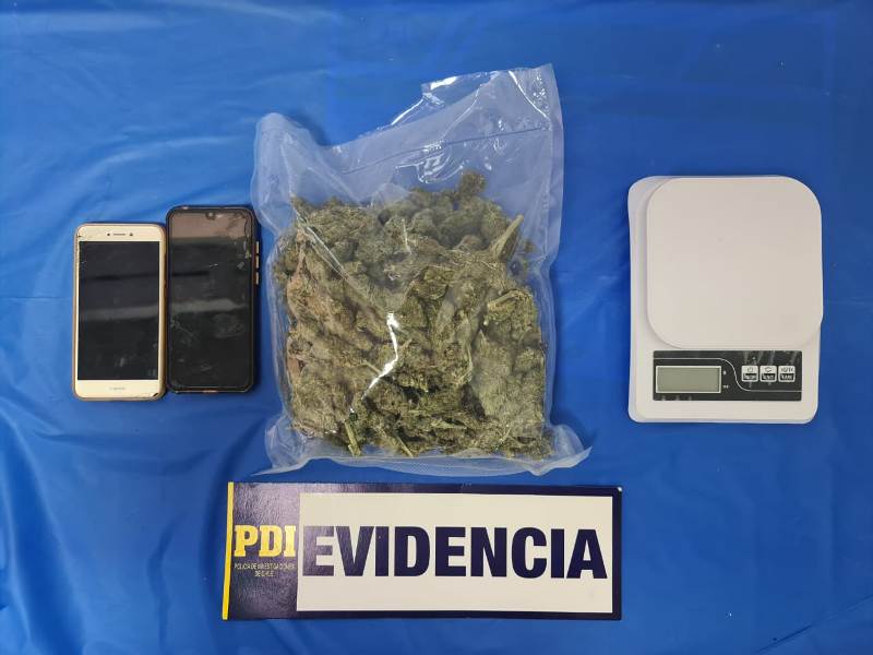 PDI Villarrica saca de circulación 760 dosis de marihuana en zona lacustre de La Araucanía - Red Informativa