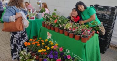 Abrieron ferias de la Ruta de las Tradiciones Campesinas en Villarrica