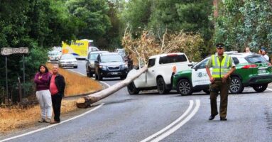 Ex director de Conaf falleció en accidente ocurrido en ruta Pitrufquén – Ñancul
