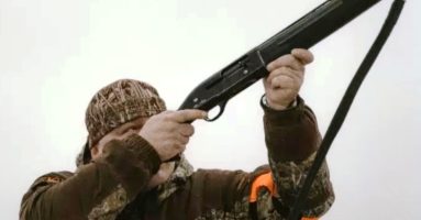 SAG suspende temporada de caza de aves silvestres