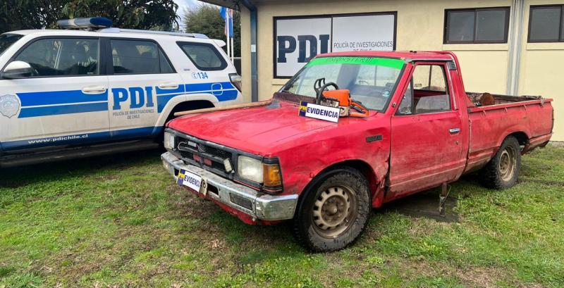 PDI Pitrufquén detuvo a dos personas por hurto de madera en predio forestal de Gorbea - Red Informativa