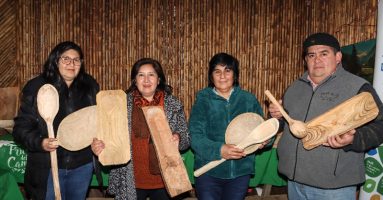 Vecinos de dos sectores rurales de Villarrica se certificaron en artesanía en madera