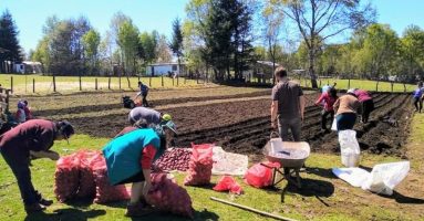 Campesinos rurales de Villarrica reciben sustantivo apoyo para sus emprendimientos