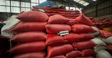 PDI Pitrufquén recuperó más de mil sacos de raps sustraídos avaluados en $40 millones