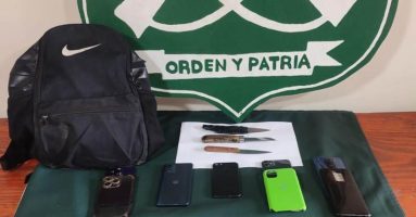 Carabineros detienen a cinco menores de edad por robo frustrado a cabaña en Licán Ray