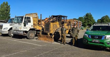 Carabineros detuvo a 5 personas acusadas de robo de madera