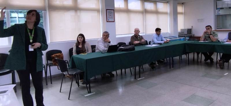 La “violencia contra la mujer” abordó el último Consejo de Seguridad de Villarrica - Red Informativa