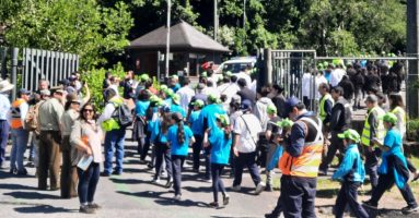 Alta convocatoria en simulacro de erupción del volcán Villarrica