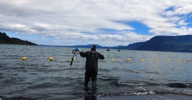 Seremi de Salud culminó el monitoreo de microcistina en el Lago Villarrica producto del Bloom de algas