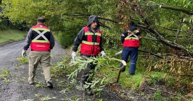 Se activa alerta por temporal de viento en la región de La Araucanía