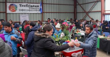 Multitudinaria fue la versión número 13 del Trafkintu o intercambio de saberes en Villarrica