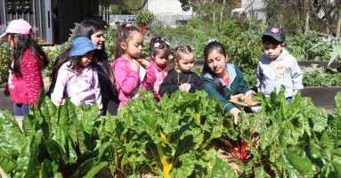 Se abren en Villarrica inscripciones a salas cunas y jardines infantiles 2025