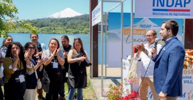 Villarrica será sede de tres días de Expo Rural Araucanía Lacustre 2024 con 36 expositores regionales