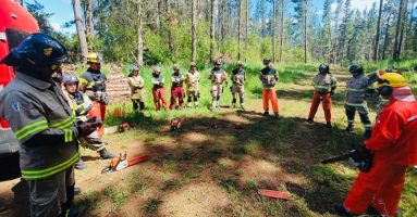 Capacitan a 60 Bomberos de Araucanía para enfrentar incendios forestales