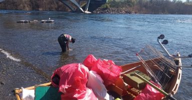Agrupación de Guías de Pesca Rey King Villarrica reestrena mini documental sobre Operativos de Limpieza en Río Toltén y Lago Villarrica