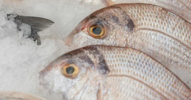 Cuidados con el consumo de productos del mar en Semana Santa