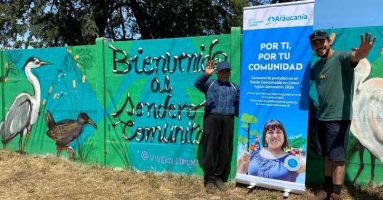 Vecinos reforestan bosque nativo con Fondo Comunitario de Aguas Araucanía