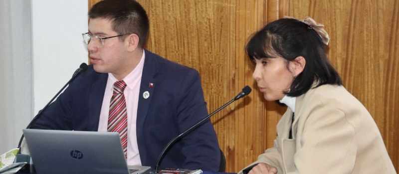 Biblioteca de Lican Ray llevará el nombre de la célebre generala de la tropas araucanas Janequeo - Red Informativa