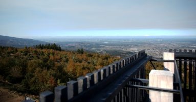 Operadores turísticos de La Araucanía destacan los atractivos de los parques Bosque Vivo