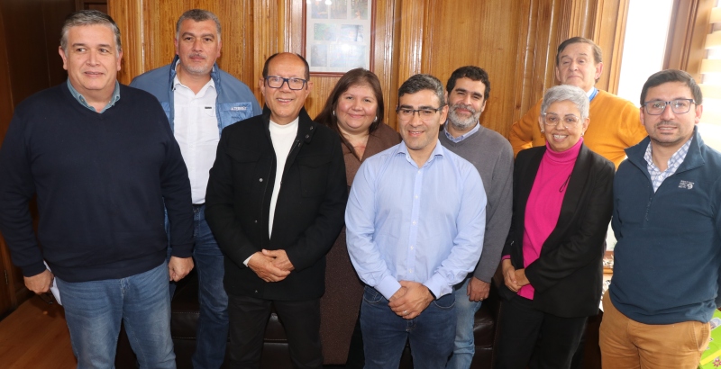 Mejoramiento pasada urbana ruta S-95-T: Una solución para la congestión vehicular hacia Licán Ray - Red Informativa