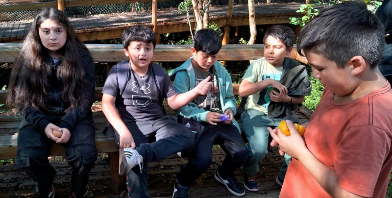 Escuela Municipal Las Vertientes y su atención personalizada - Red Informativa