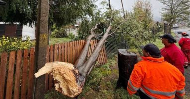 Villarrica enfrentó el reciente sistema frontal con equipos municipales, bomberos, carabineros y voluntarios