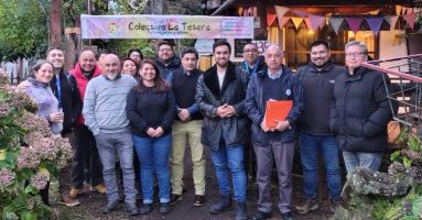 Autoridades lanzan Mesa de Seguridad y Turismo en  Licán Ray.