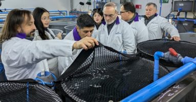 GORE La Araucanía conoce en terreno avances y aportes de la industria salmonera en la región