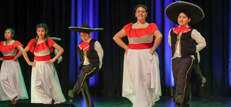 Comunas de Cautín Sur participan en Muestra de Danza Folclórica Latinoamericana en Villarrica - Red Informativa