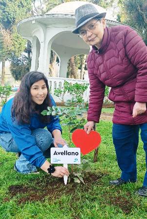 Vecinos de Freire se unieron en proyecto de arborización - Red Informativa