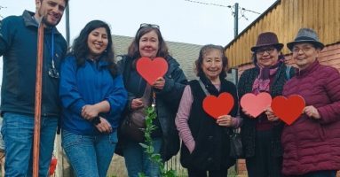 Vecinos de Freire se unieron en proyecto de arborización