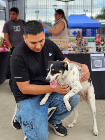Duoc UC realiza Primer Encuentro de Mascotas "Como Perros y Gatos" para Promover la Tenencia Responsable y el Bienestar Animal - Red Informativa