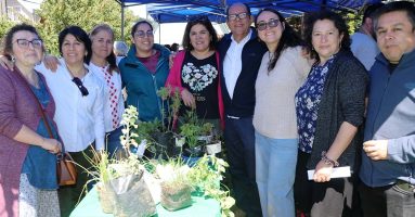 Encuentro de huertos urbanos destacó la producción sustentable y el trabajo comunitario en Villarrica