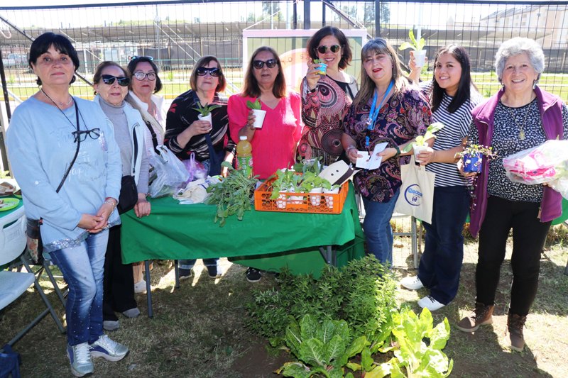 Encuentro de huertos urbanos destacó la producción sustentable y el trabajo comunitario en Villarrica 2 Encuentro de huertos urbanos destacó la producción sustentable y el trabajo comunitario en Villarrica - Red Informativa
