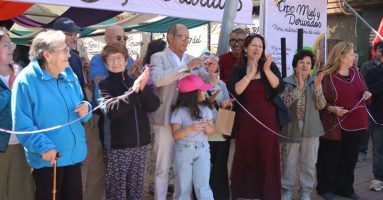 En Villarrica inauguran Expo Miel y Derivados hasta el 22 de febrero en la plaza cívica consistorial