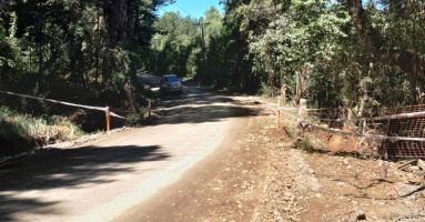 Camino María Luisa – Pedregoso estará cerrado del 23 al 01 de marzo por trabajos en la vía