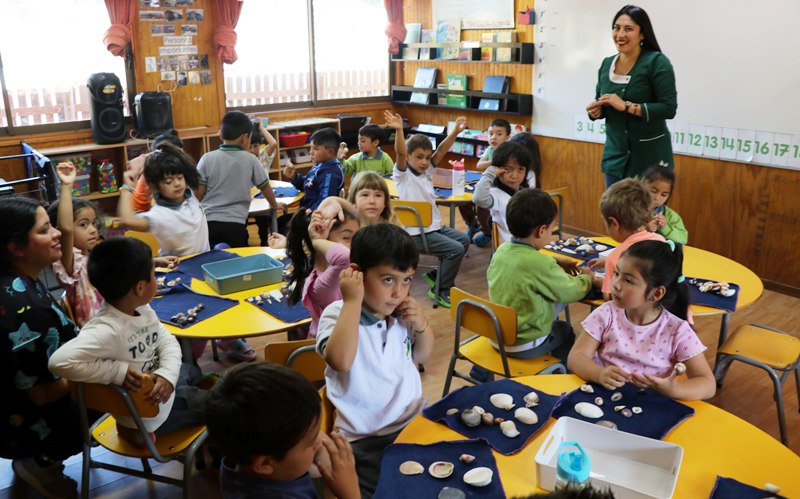 Escuela Municipal Molco Alto destaca en Villarrica tras obtener excelentes resultados en el Simce - Red Informativa