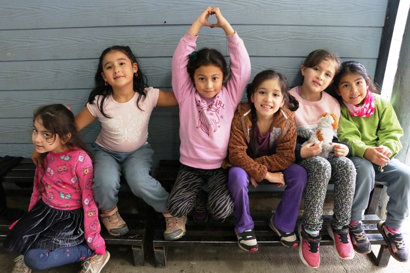 Escuela Municipal Molco Alto destaca en Villarrica tras obtener excelentes resultados en el Simce - Red Informativa